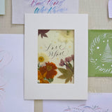 初班Dip Pen Modern Calligraphy Workshop 沾水筆現代體 西洋書法班