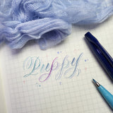 Brush Lettering Workshop