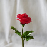 MY Rose 日本粘土玫瑰 x 手寫人名短句 (高26CM) 客製禮物