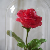 MY Rose 日本粘土玫瑰 x 手寫人名短句 (高26CM) 客製禮物