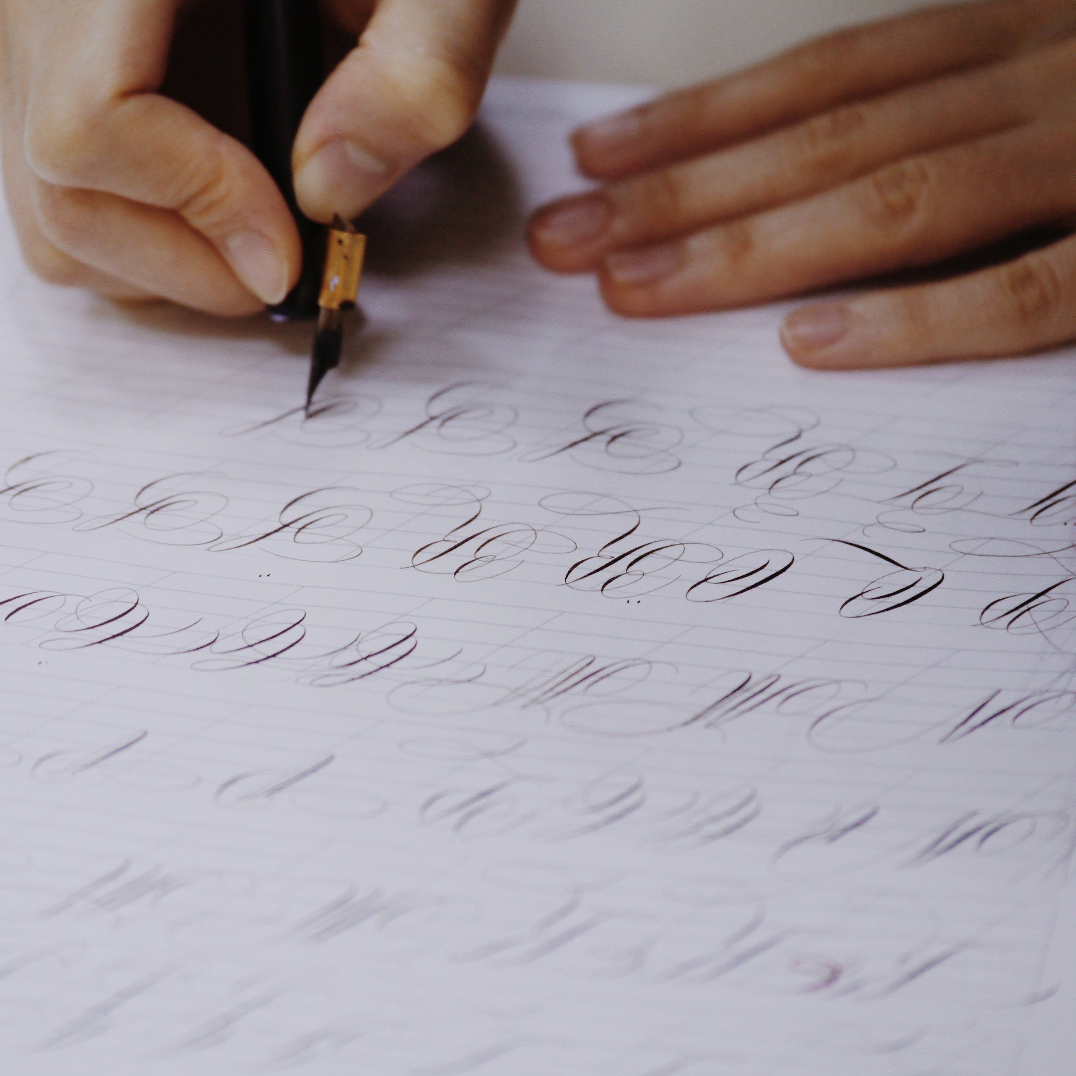 Private Calligraphy Workshop 私人西洋書法班 – Handwrite House